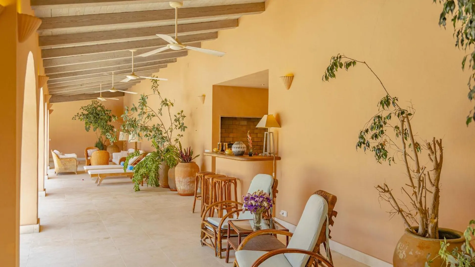 Villa De Lujo En El Norte Mallorca Alcudia